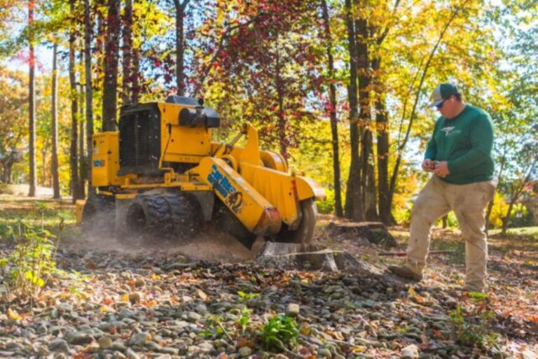 commercial stump grinding