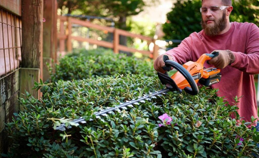 cost of hedge trimming