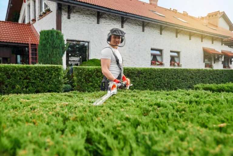 cost of hedge trimming
