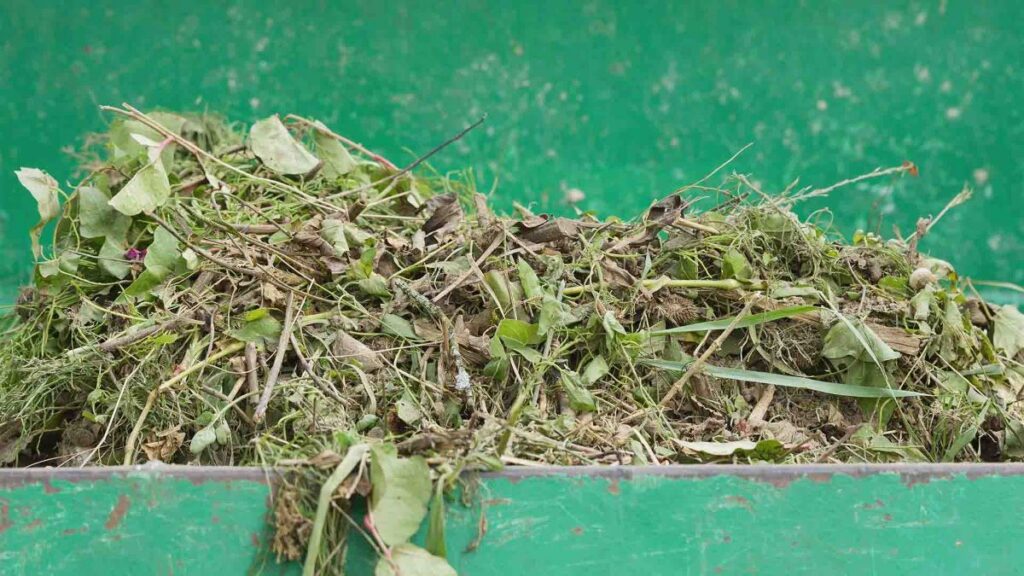 green waste removal